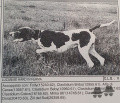 Pedigree LUCANIAE HARD Pedigree LUCANIAE HARD